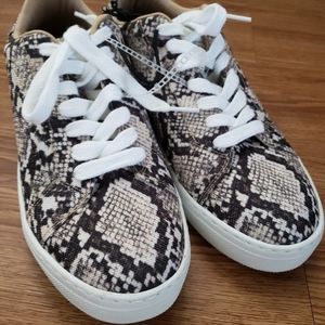 STEVE MADDEN